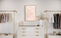 a closet with a pink painting on the wall